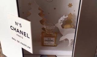 chanelno.5 chanelno.5